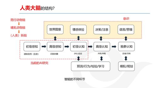 AI產品經理的發展與規劃 網絡技術開發視角