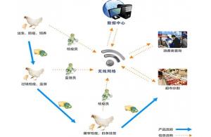 賽億科技 以網絡技術開發為基石，驅動物聯網解決方案創新