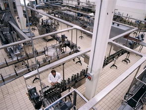 探索意大利莊園橄欖油的進(jìn)口全流程