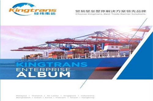 湛江企業(yè)在國(guó)內(nèi)貿(mào)易代理中規(guī)避平軋反傾銷(xiāo)風(fēng)險(xiǎn)的策略分析